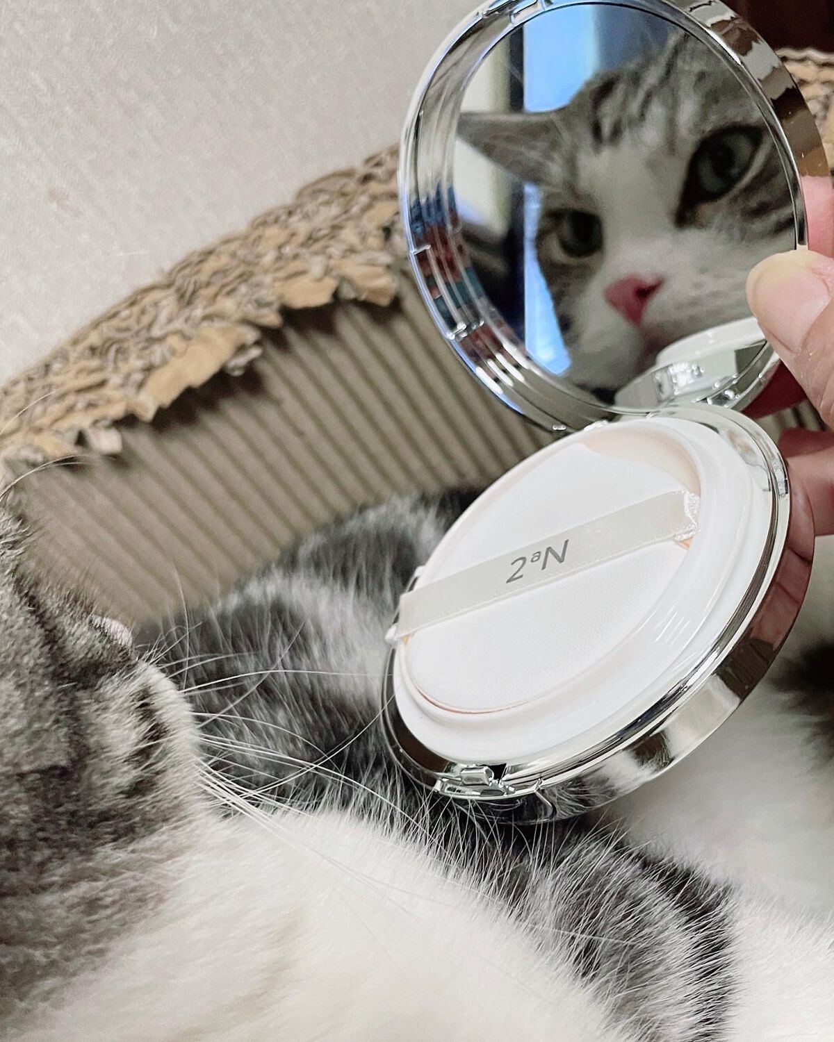 グリーミングテンションパクト/2aN/クリーム・エマルジョンファンデーションを使ったクチコミ（2枚目）