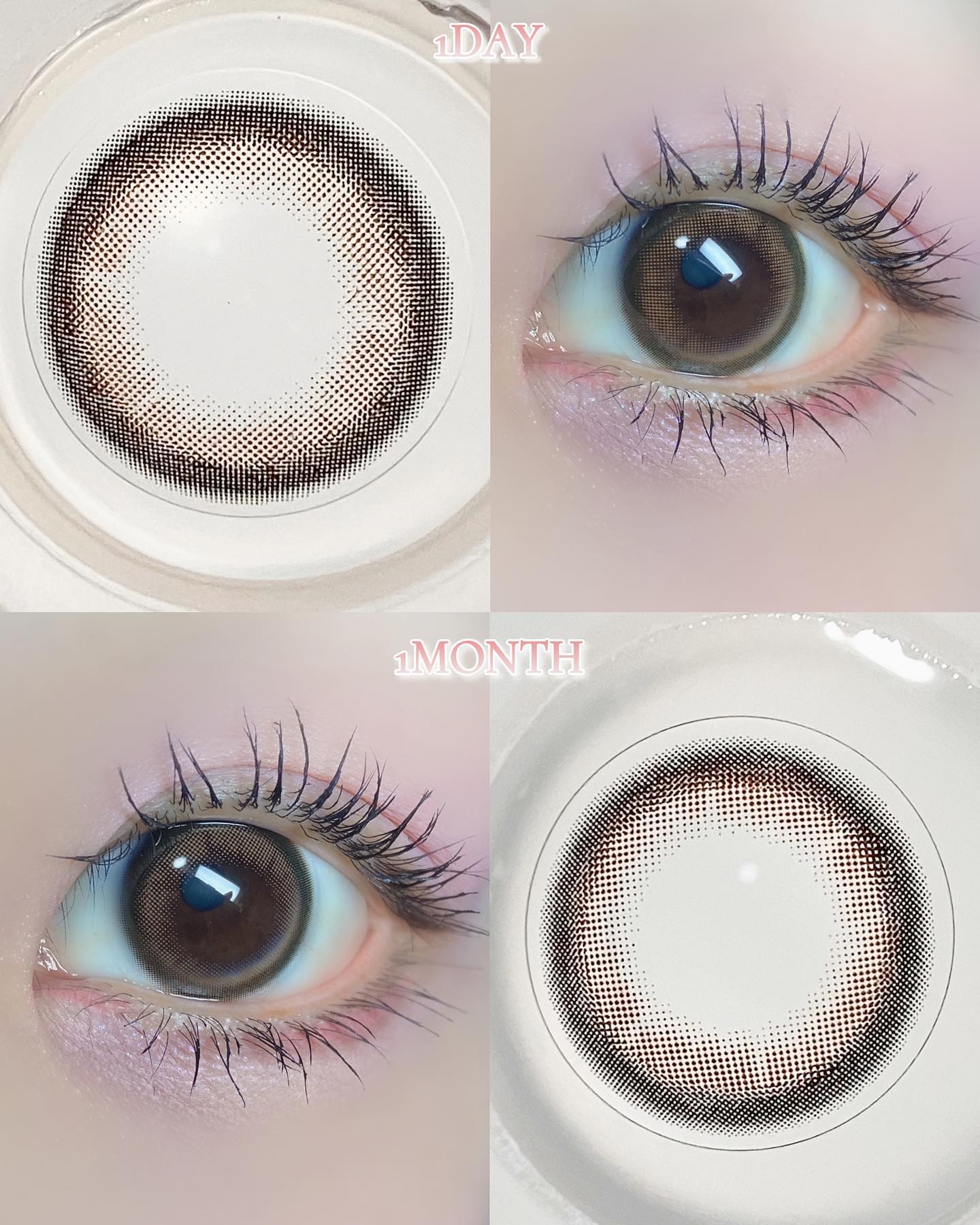 MOLAK 1day/MOLAK/ワンデー（１DAY）カラコンを使ったクチコミ（2枚目）