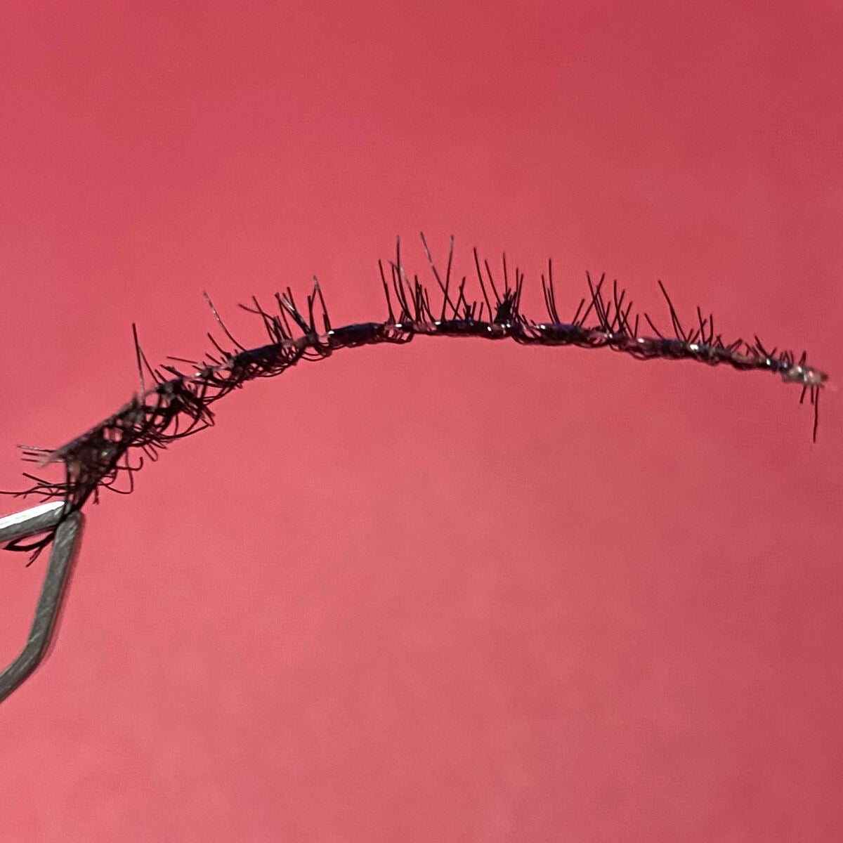 アイラッシュフィクサーEX 552/D-UP/つけまつげを使ったクチコミ(5枚目)