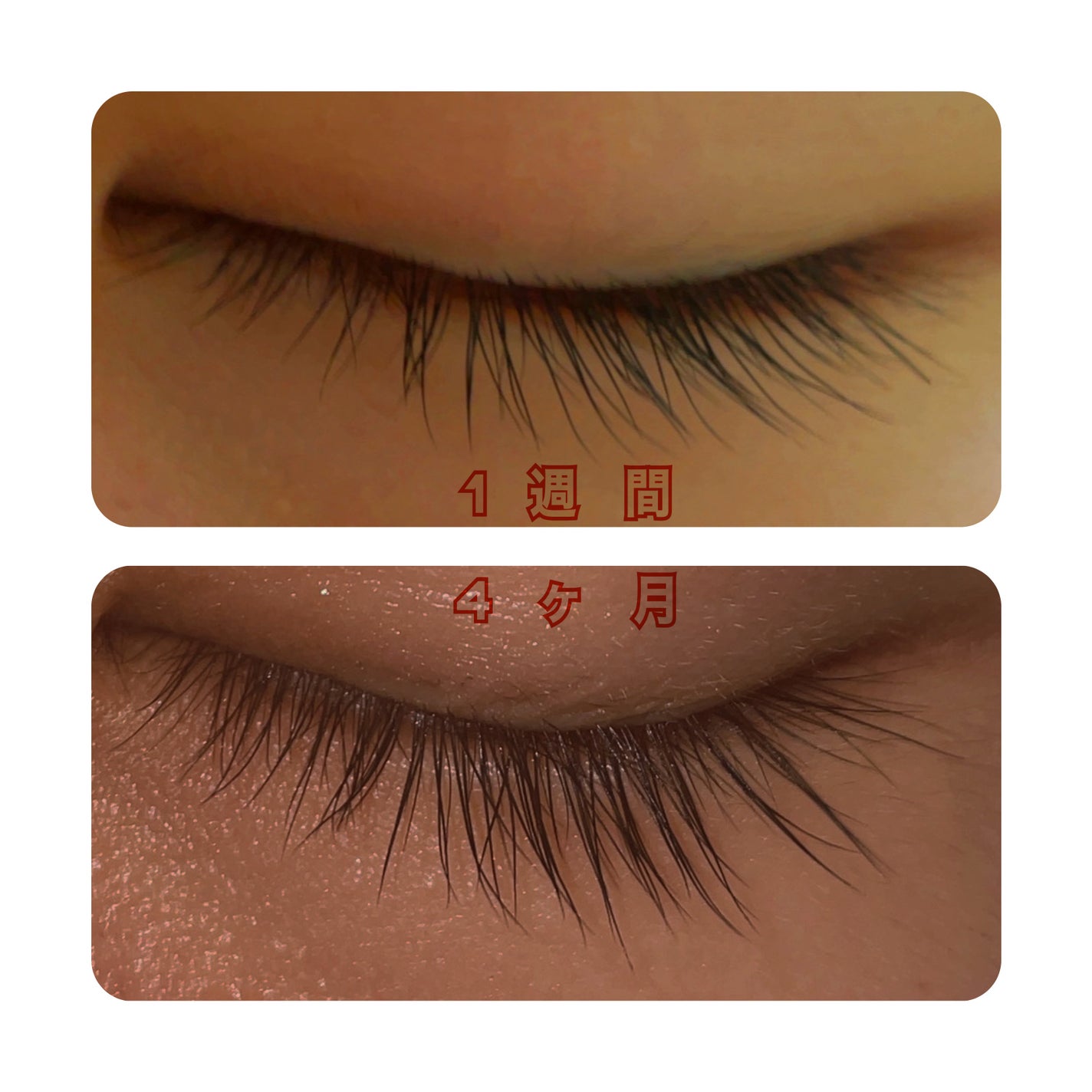 まつげ美容液EX/CEZANNE/まつげ美容液を使ったクチコミ(2枚目)