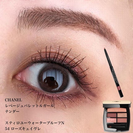 スティロ ユー ウォータープルーフ N/CHANEL/ペンシルアイライナーを使ったクチコミ(1枚目)