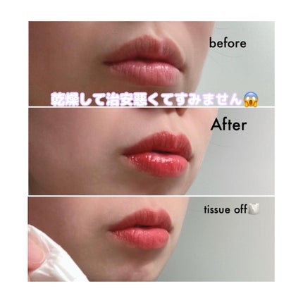 ムードフィットセラムティント 02 Nude Brick/SISTER ANN/リップティントの画像