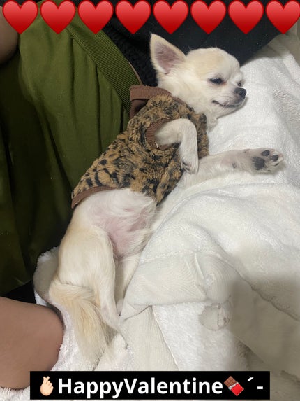 カラフルネイルズ/キャンメイク/マニキュアを使ったクチコミ(8枚目)