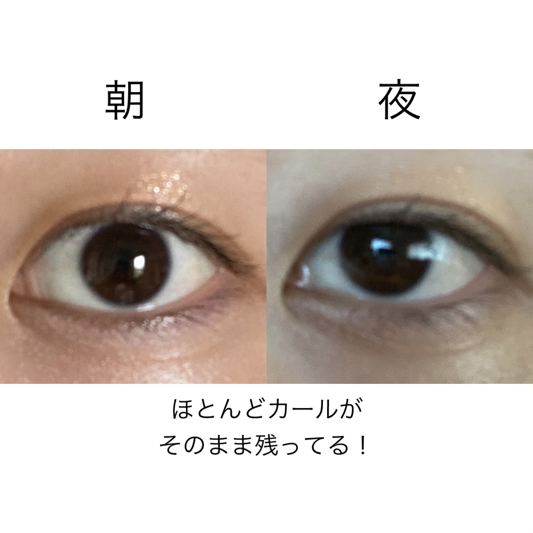 ピメル うそつき下地/pdc/マスカラ下地を使ったクチコミ（3枚目）