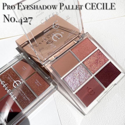プロアイシャドウパレットセシル/CELEFIT/アイシャドウパレットを使ったクチコミ(4枚目)