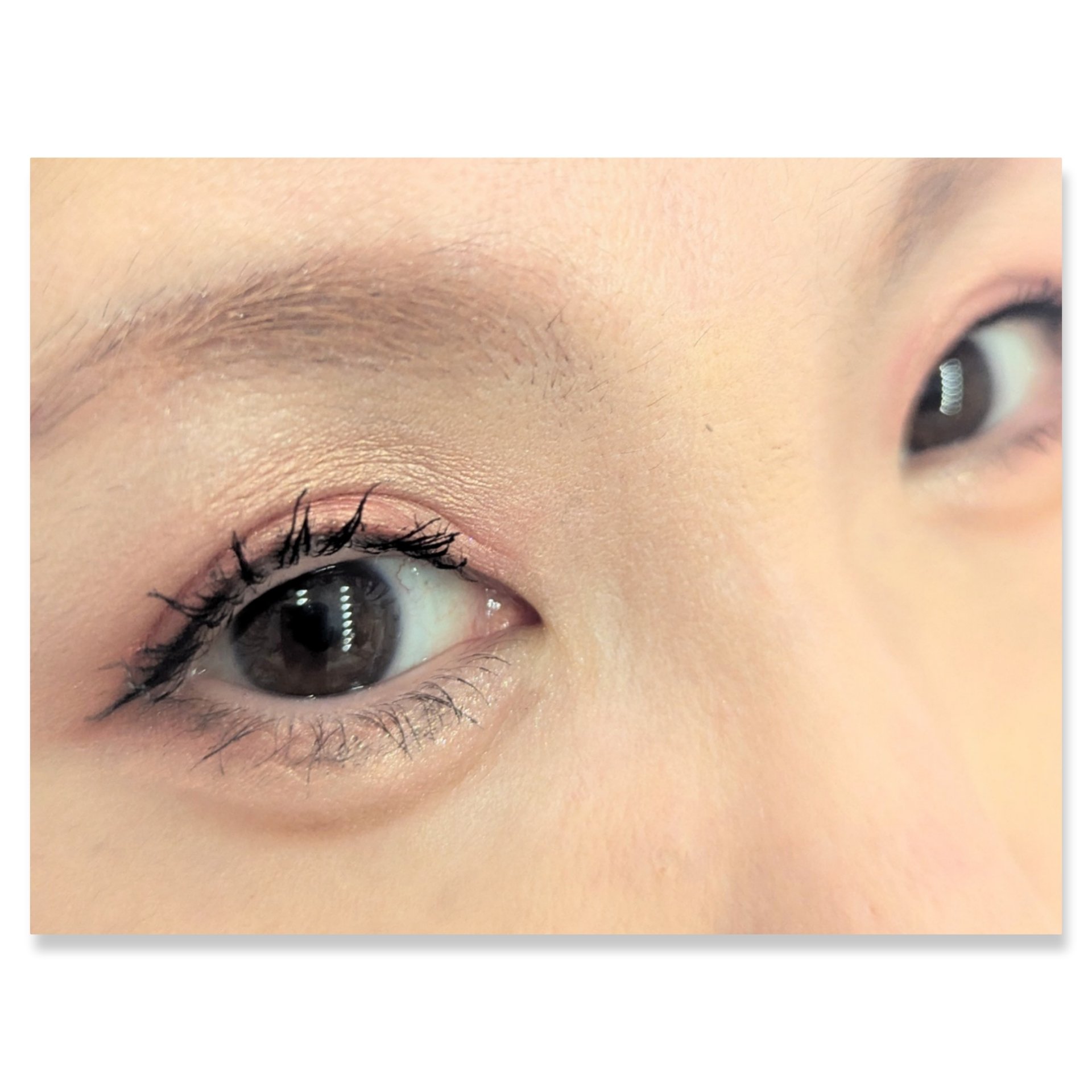 ショコラスウィート アイズ 112/リンメル ロンドン/アイシャドウパレットを使ったクチコミ（2枚目）