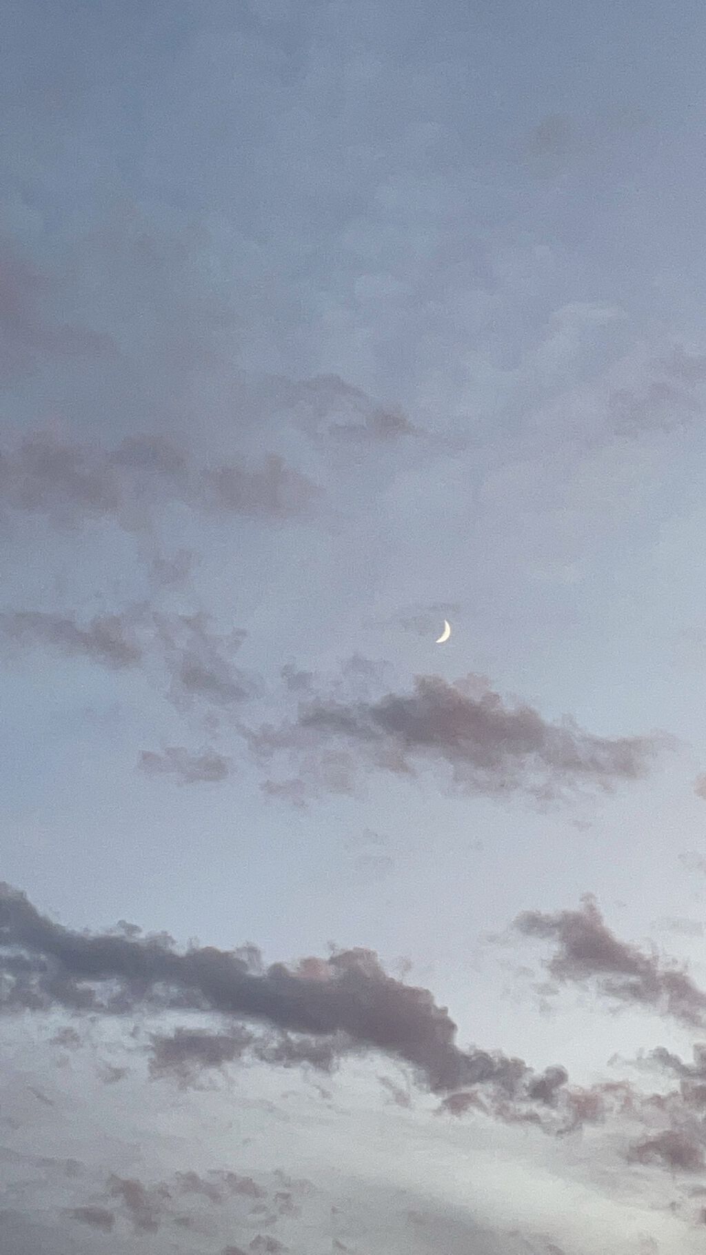 スカルプD ボーテ ピュアフリーアイラッシュセラム プレミアム/アンファー(スカルプD)/まつげ美容液を使ったクチコミ(4枚目)