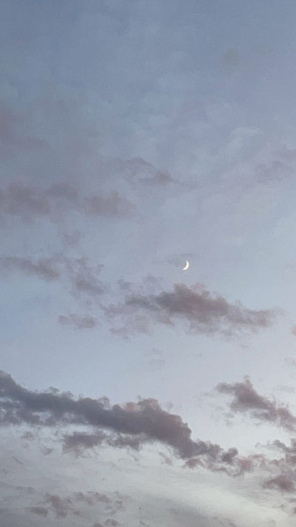 スカルプD ボーテ ピュアフリーアイラッシュセラム プレミアム/アンファー(スカルプD)/まつげ美容液を使ったクチコミ(4枚目)