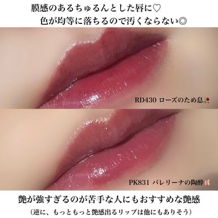 ネンマクフェイク リキッド/Visée/口紅を使ったクチコミ(5枚目)