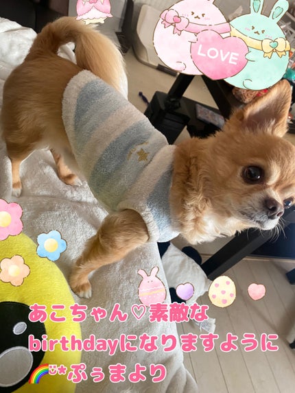 ミニネイル/パラドゥ/マニキュアを使ったクチコミ(7枚目)