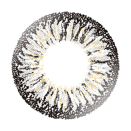 スパイシーグレー