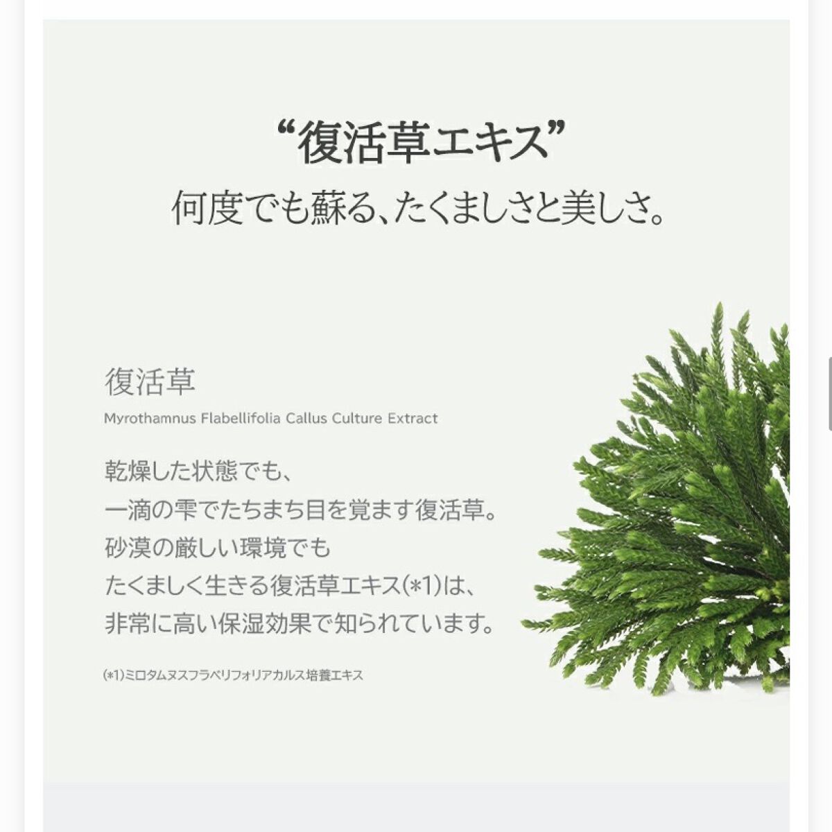 オアシス スージング マスク/Dr.Althea/シートマスク・パックを使ったクチコミ（3枚目）