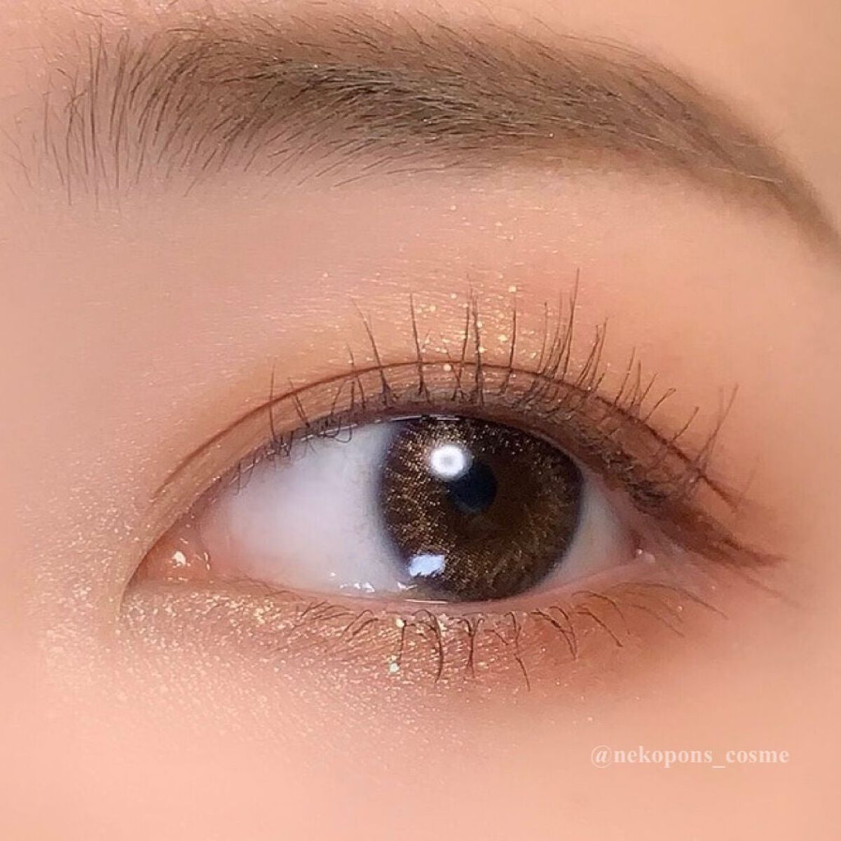 プロ アイ パレット 12 AUTUMN BREEZE IN SEOUL FOREST