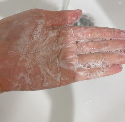 アンドラム アロマティック ハンドウォッシュ/Aesop/ハンドソープを使ったクチコミ(3枚目)