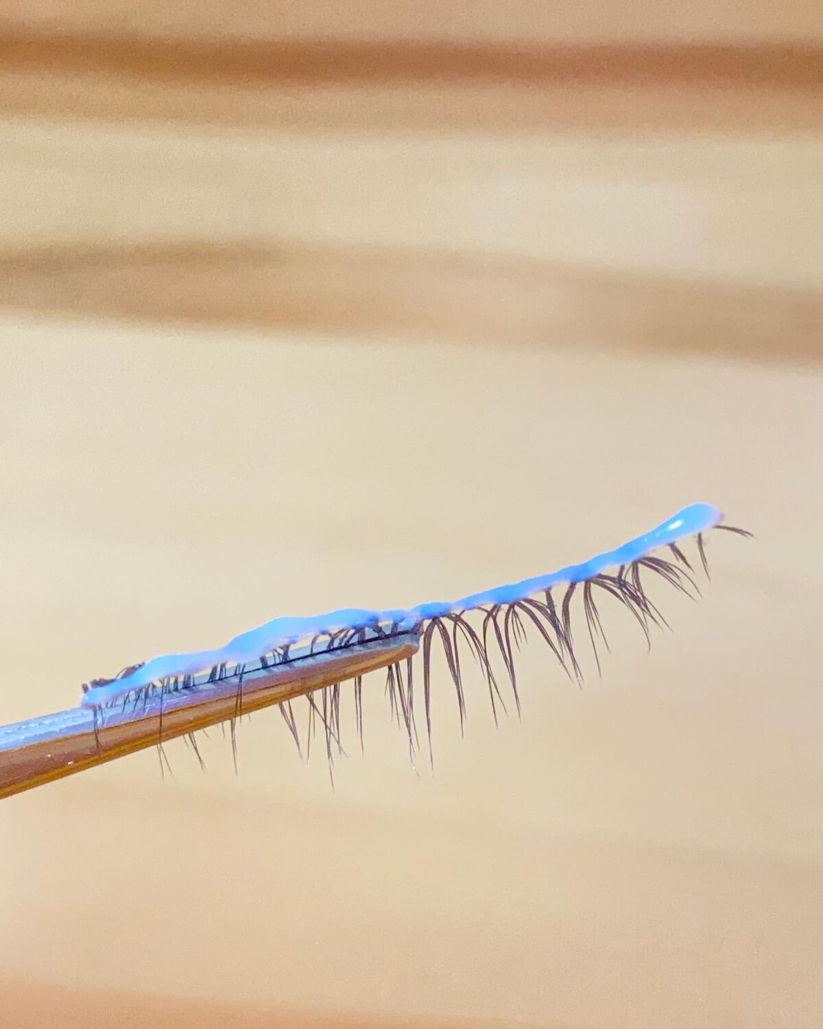 アイラッシュグルー/ミッシュブルーミン/つけまつげを使ったクチコミ(5枚目)