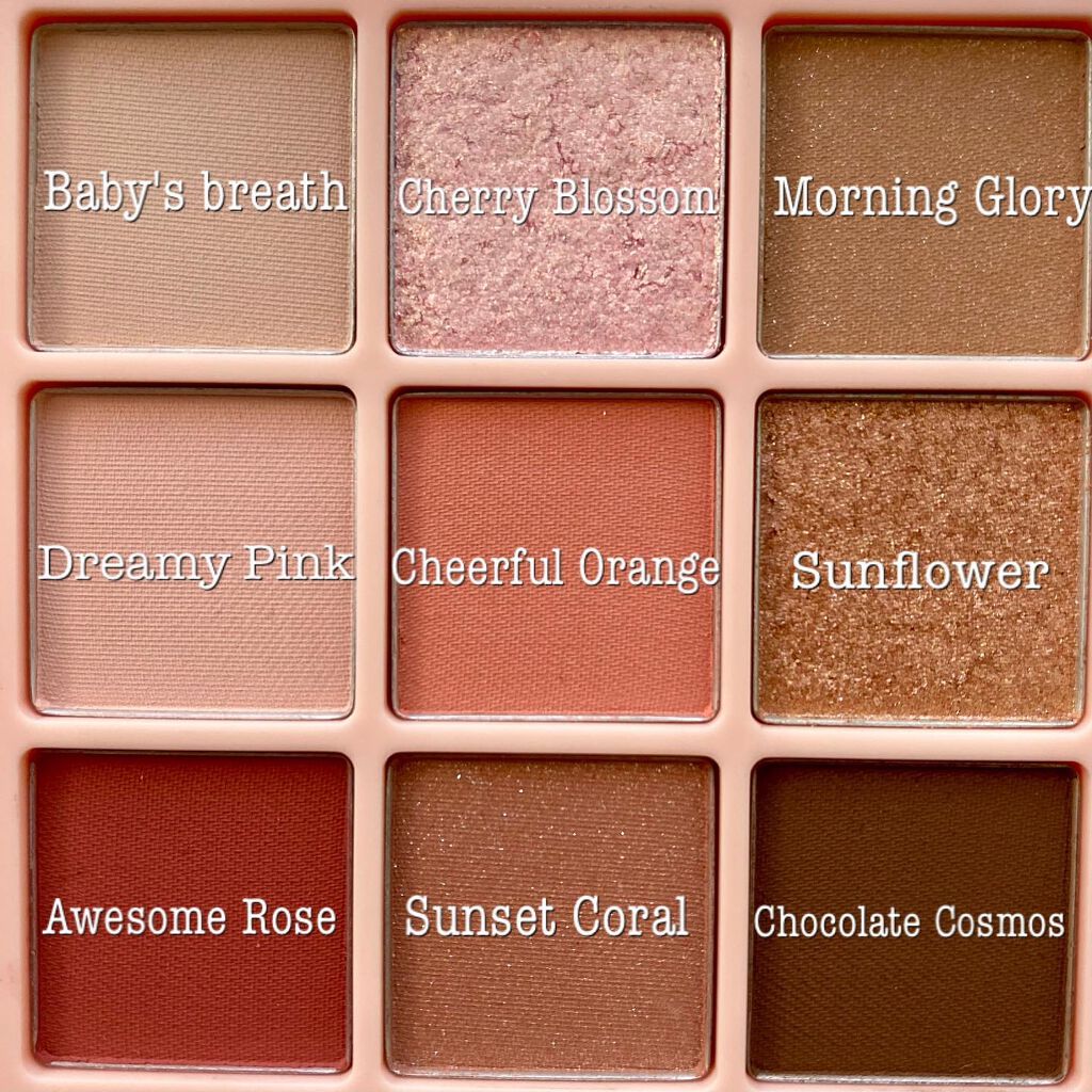 ワンピックアイシャドウパレット 01 ピンクコーラル/APLIN/アイシャドウパレットを使ったクチコミ（2枚目）