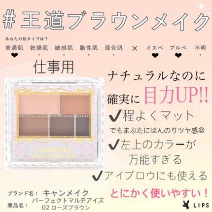 パーフェクトマルチアイズ 01 ローズブラウン/キャンメイク/アイシャドウパレットを使ったクチコミ(1枚目)