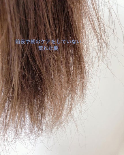 カームナイトリペアシャンプー/トリートメント/YOLU/市販シャンプーを使ったクチコミ(2枚目)