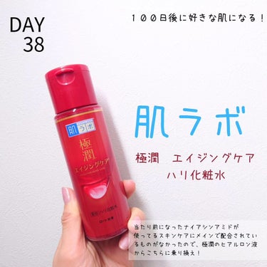 極潤 薬用ハリ化粧水【医薬部外品】/肌ラボ/化粧水を使ったクチコミ（1枚目）