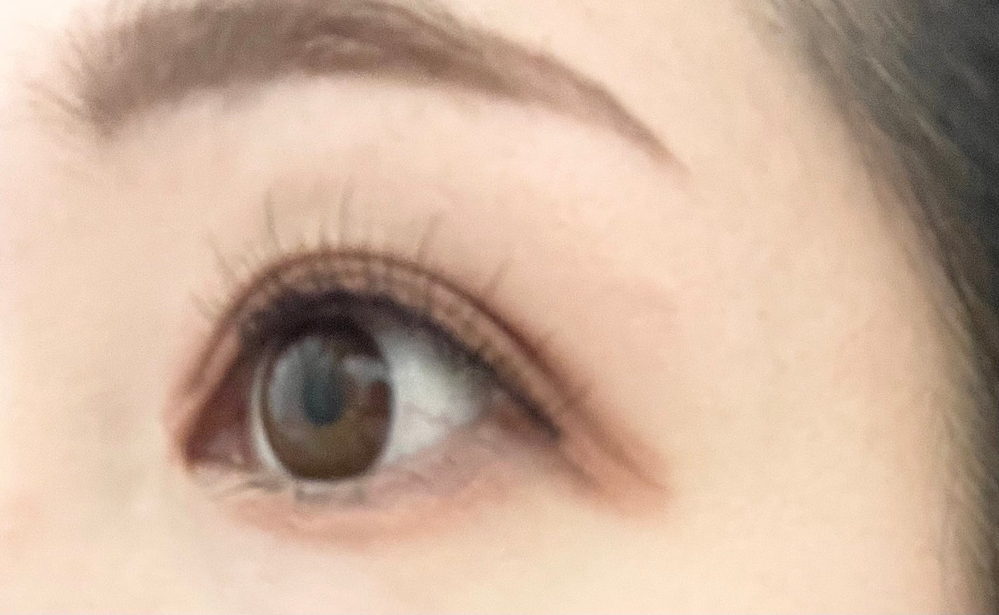 ラスティングマルチアイベース WP/キャンメイク/アイシャドウベースを使ったクチコミ(1枚目)