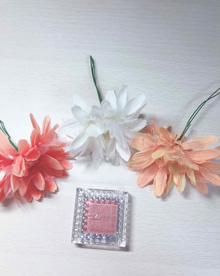 シングルカラーアイシャドウ/CEZANNE/単色アイシャドウを使ったクチコミ(1枚目)