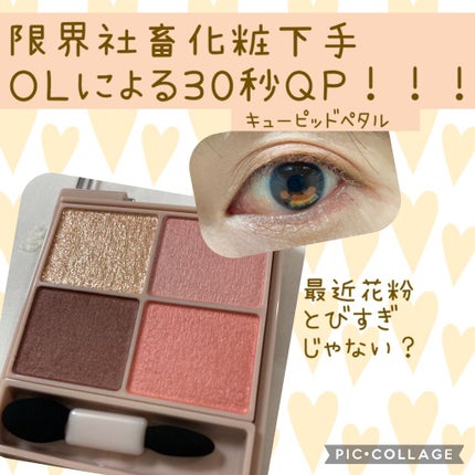 シルキースフレアイズ/キャンメイク/アイシャドウパレットを使ったクチコミ(1枚目)