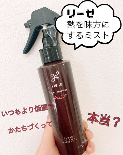 熱を味方にするミスト/リーゼ/ヘアミストを使ったクチコミ(1枚目)