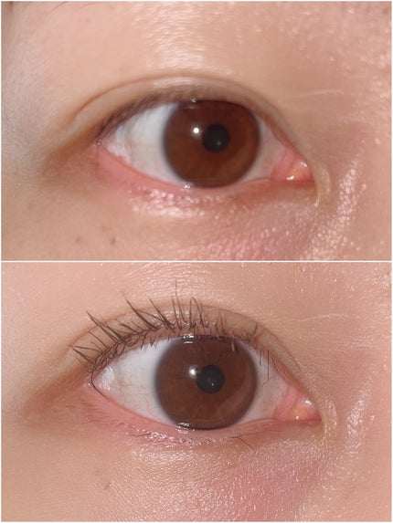 キングダム 束感カールマスカラ/キングダム/マスカラを使ったクチコミ(4枚目)