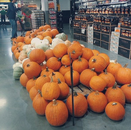 FRENCH LAVENDER WHIPPED SOAP + SCRUB/Pacha Soap Co./ボディソープを使ったクチコミ(4枚目)