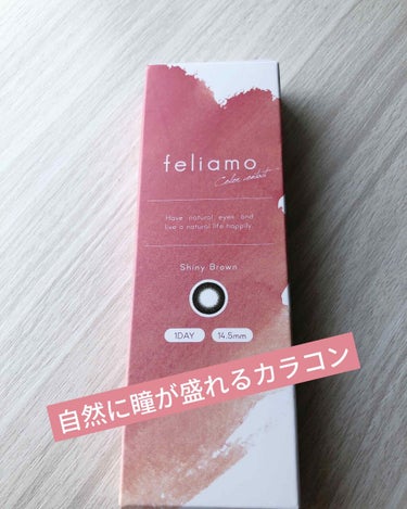 feliamo 1day エスプレッソ/feliamo/ワンデー（１DAY）カラコンを使ったクチコミ（1枚目）