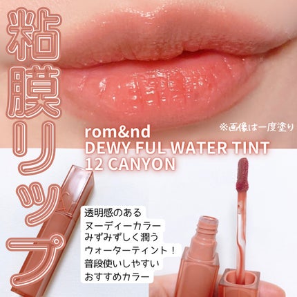 デュイフルウォーターティント/rom&nd/リップティントを使ったクチコミ(1枚目)