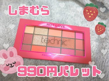 15 アイシャドウパレット/technic/アイシャドウパレットを使ったクチコミ（1枚目）