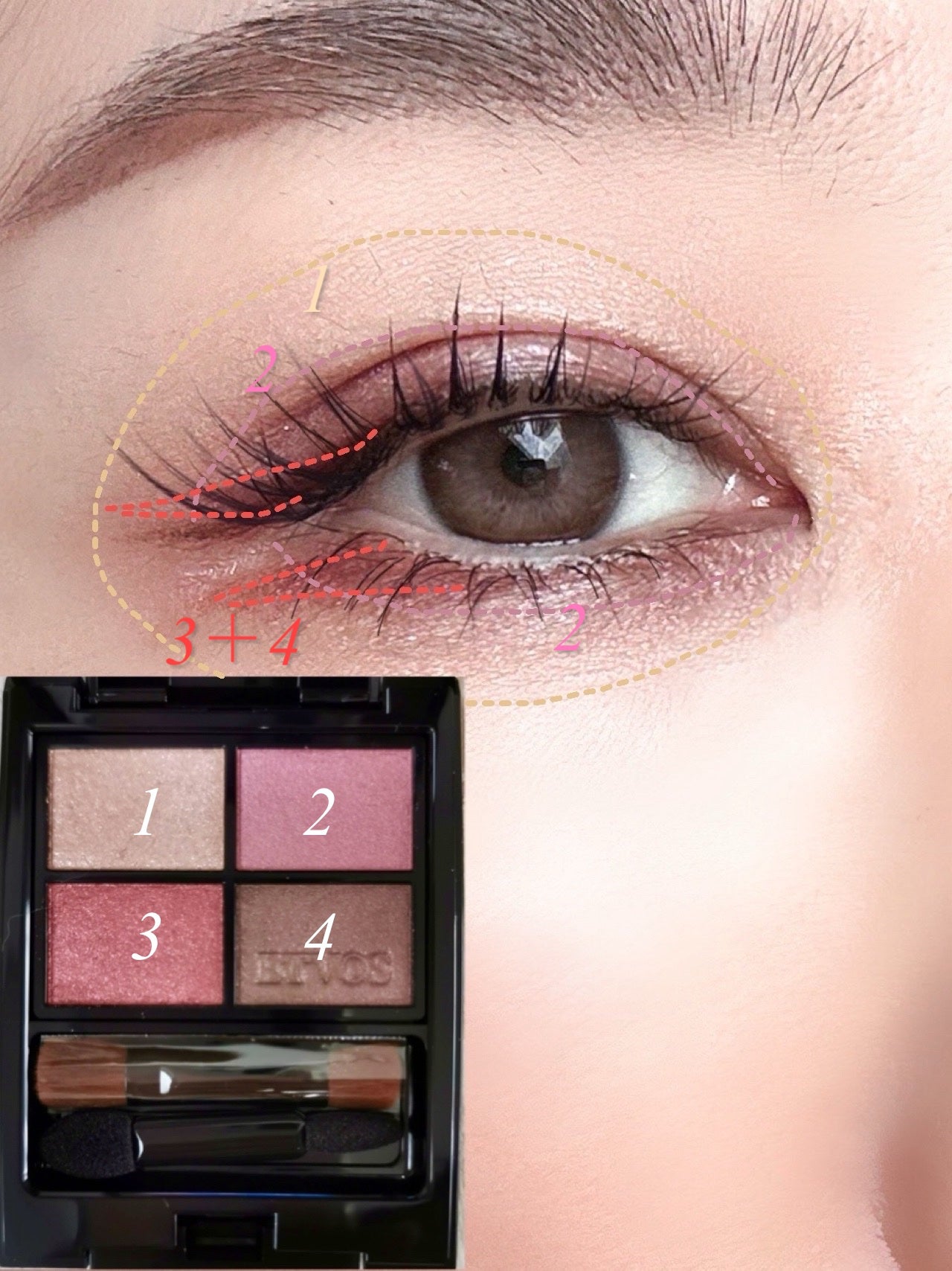 ミネラルクラッシィシャドー/エトヴォス/アイシャドウパレットを使ったクチコミ(3枚目)