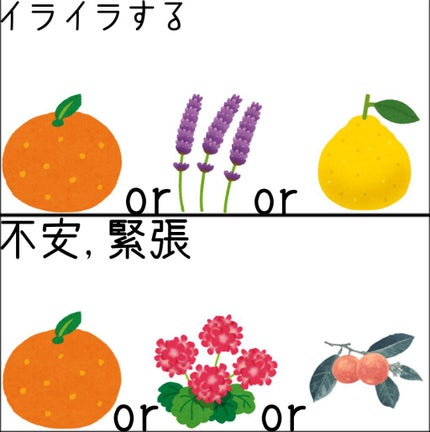 日本製アロママルチミスト/DAISO/香水(レディース)を使ったクチコミ(7枚目)