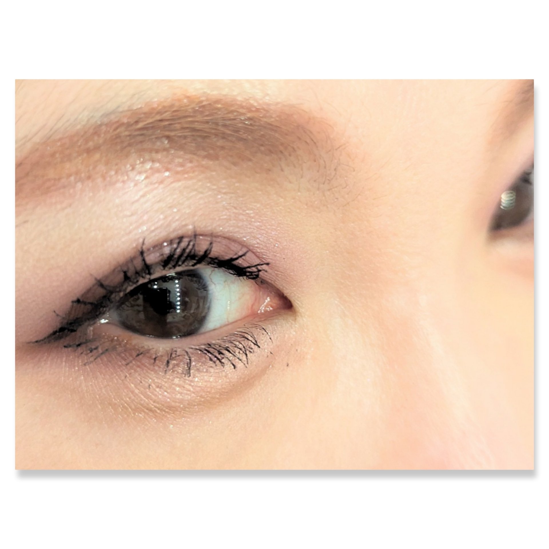 バーチャルアイズメイカー/KATE/アイシャドウパレットを使ったクチコミ（2枚目）