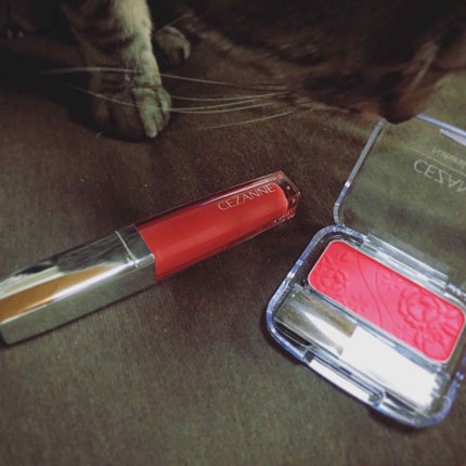 ナチュラル チークN/CEZANNE/パウダーチークを使ったクチコミ(1枚目)