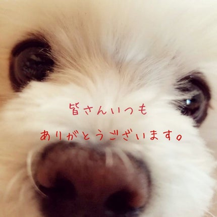 ブローネ ヘアマスカラのクチコミ「美容院予約したけど…まだ1週間先だし
チラ見え白髪が気になって気分があがらない~😰
かと.....」(3枚目)