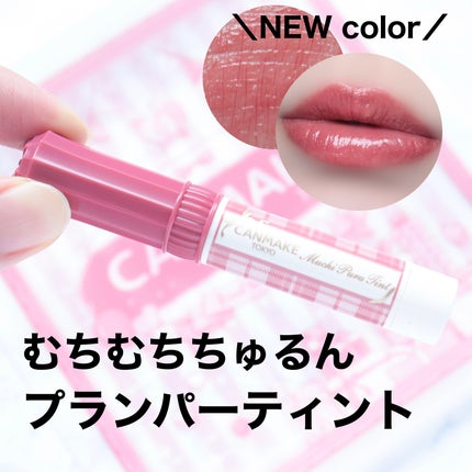 むちぷるティント/キャンメイク/リップティントを使ったクチコミ(1枚目)