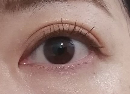 パーフェクトエクステンション マスカラ for カール モカベージュ/D-UP/マスカラを使ったクチコミ(3枚目)