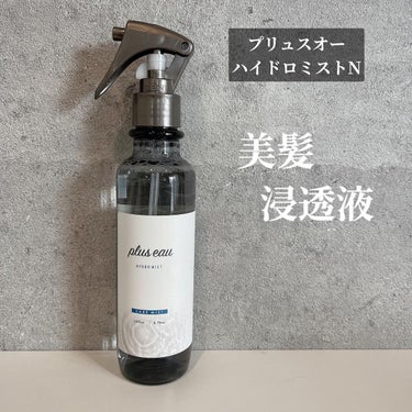 ハイドロミストN/plus eau/アウトバストリートメントを使ったクチコミ（1枚目）