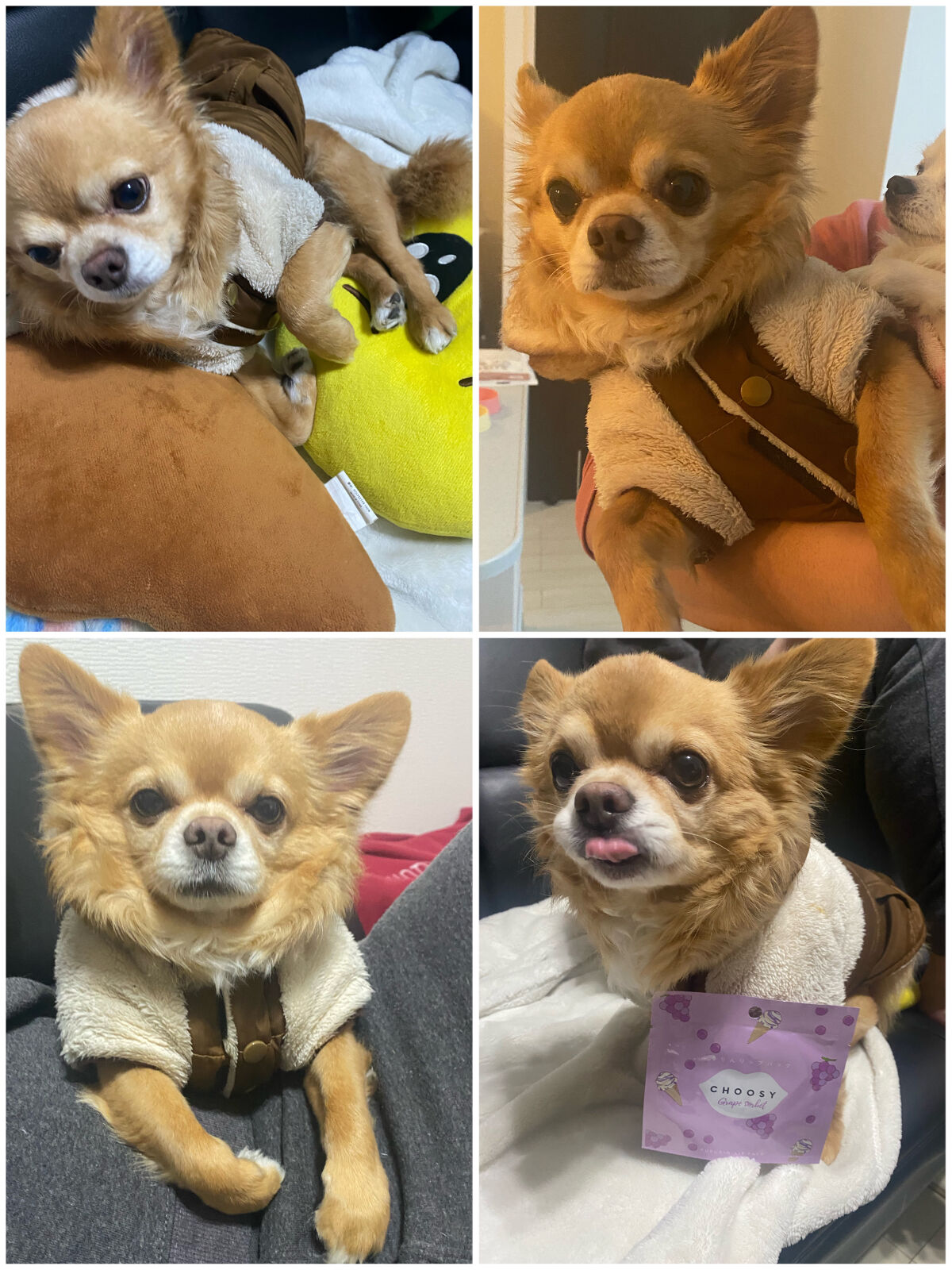 を使ったクチコミ（3枚目）