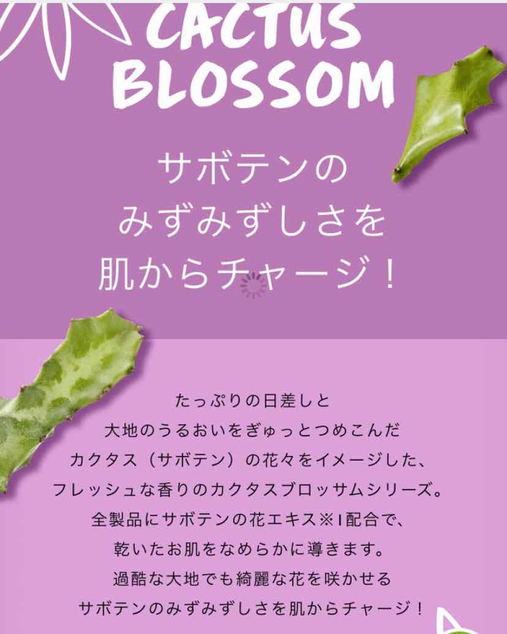 ボディヨーグルト カクタスブロッサム/THE BODY SHOP/ボディクリームを使ったクチコミ（2枚目）