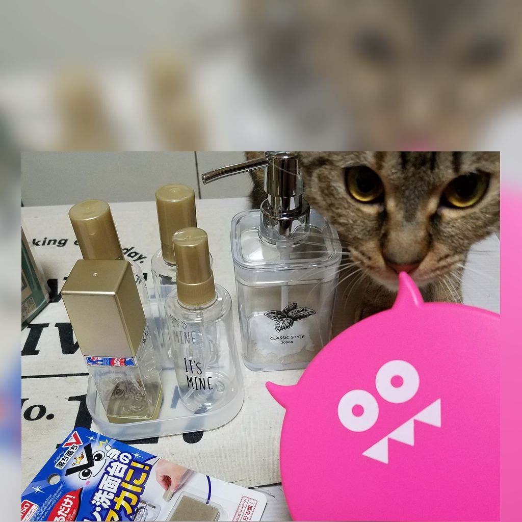 ☪七香 on LIPS 「だいぶ前のダイソー購入品です。画像溜まりの為放出!日々の物〜詰..」(1枚目)