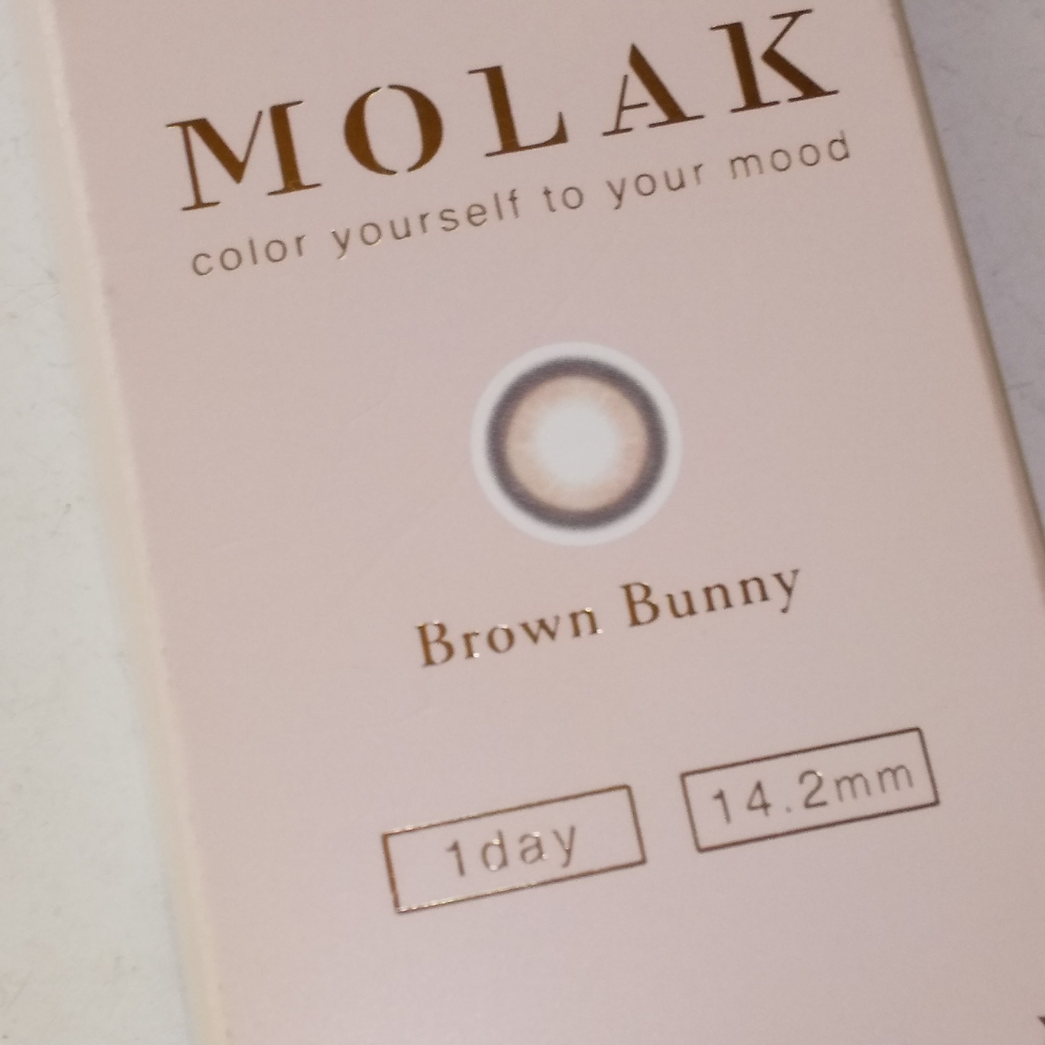 MOLAK 1day ブラウンバニー/MOLAK/ワンデー（１DAY）カラコンを使ったクチコミ（3枚目）