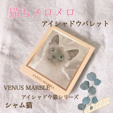 Venus Marble アイシャドウキャットシリーズ/Venus Marble/パウダーアイシャドウを使ったクチコミ（1枚目）