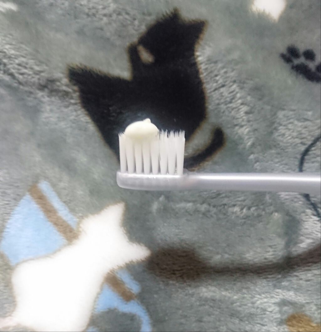 ナチュラルマカロントゥースペースト/ukiwi/歯磨き粉を使ったクチコミ（3枚目）