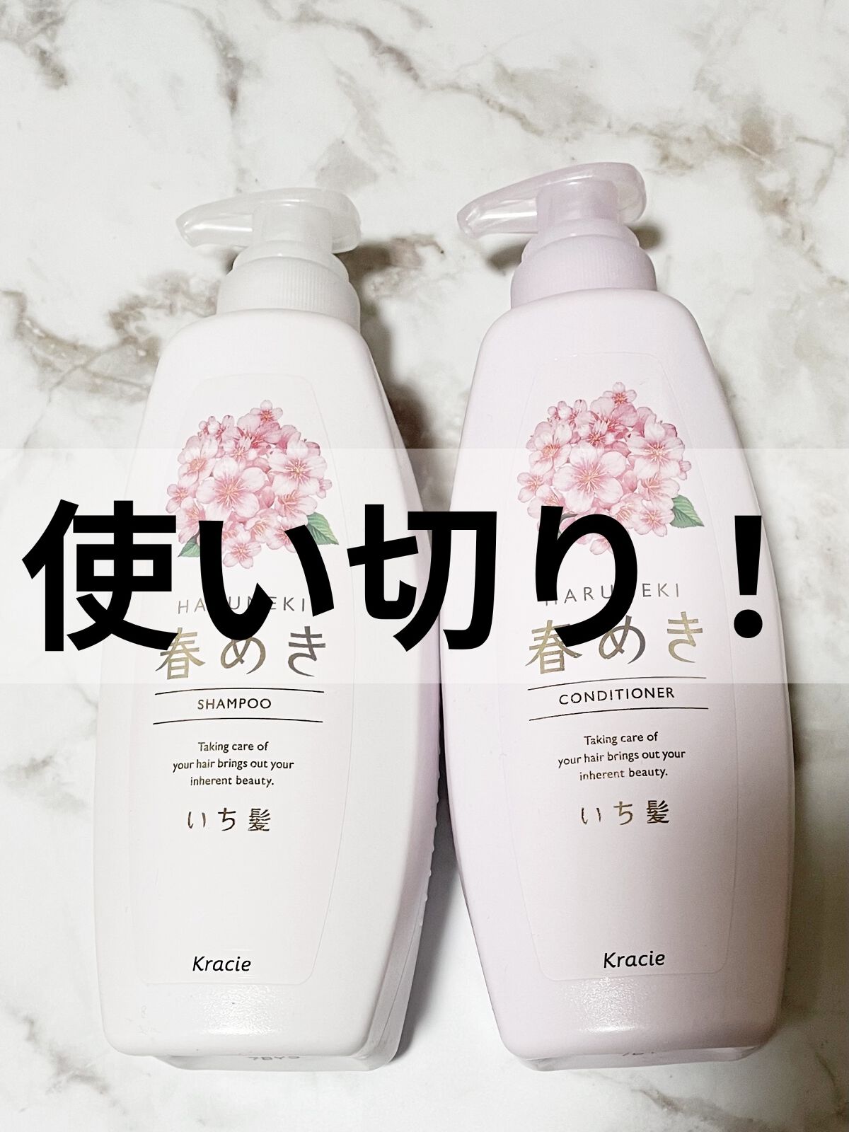 シャンプー／コンディショナー（春めきの香り）/いち髪/市販シャンプーを使ったクチコミ（1枚目）