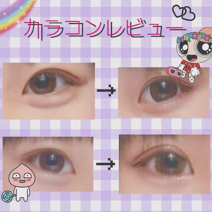 Angelcolor Bambi Series 1day /AngelColor/ワンデー(1DAY)カラコンを使ったクチコミ(1枚目)