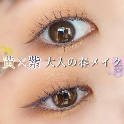 トゥルービューティ パレット/all my things/マルチパレットを使ったクチコミ(1枚目)