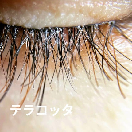 カラーラッシュ/D-UP/つけまつげを使ったクチコミ(2枚目)